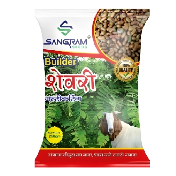 Builder-Shevri-Multicutting-Grass-Seeds-250-Gram-Sangram-Seeds