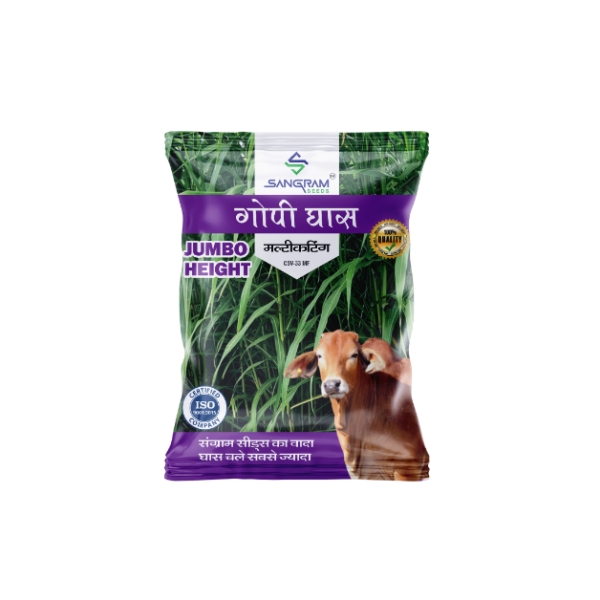 Jowar-Gopi-Grass-Multicut-Year--For-Cattle-Fodder-100-Gram-Sangram-Seeds-Pack-of-2