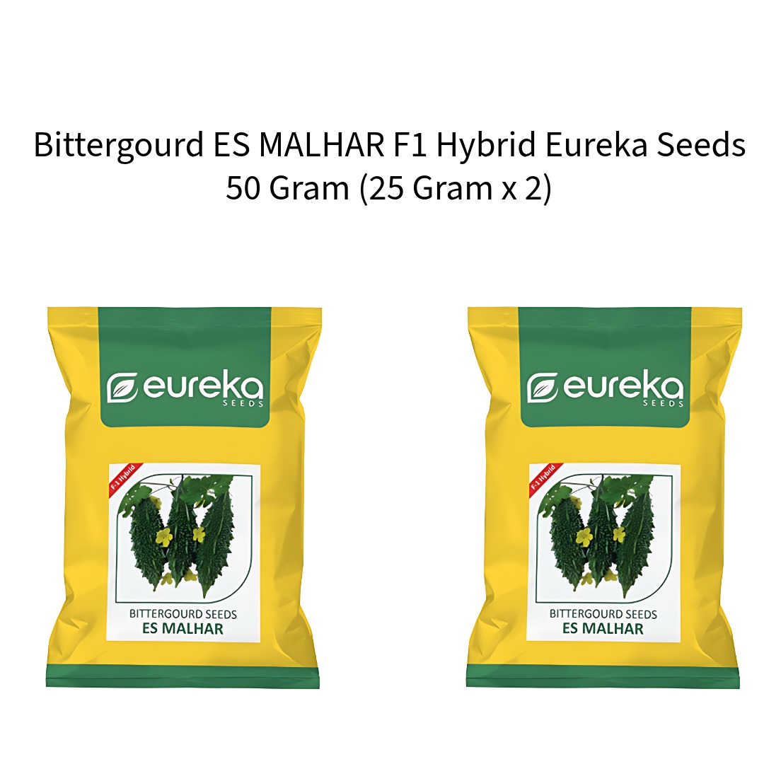 Bittergourd-ES-MALHAR-F1-Hybrid-Eureka-Seeds-50-Gram