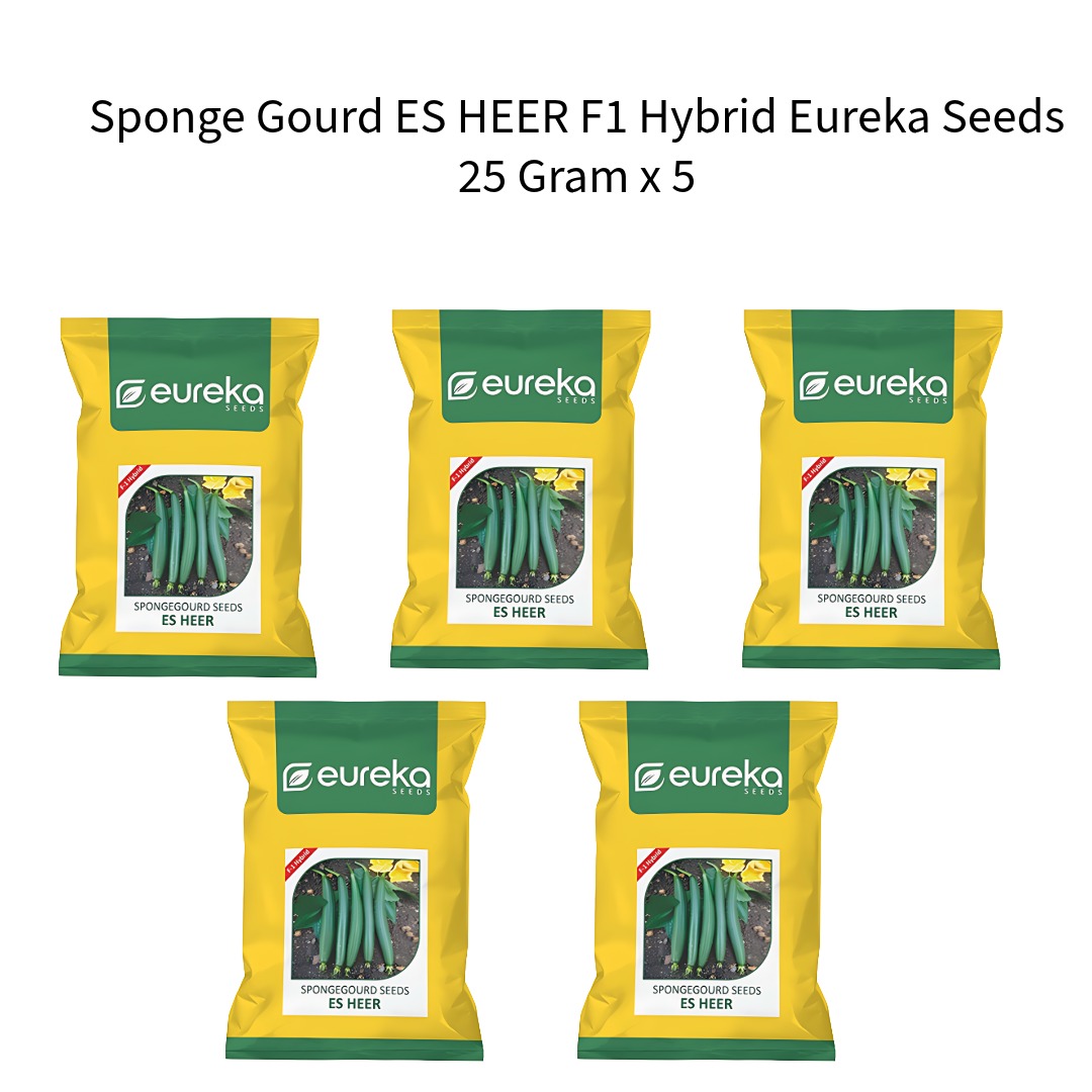 Sponge-Gourd-ES-HEER-F1-Hybrid-Eureka-Seeds-25-Gram-x-5