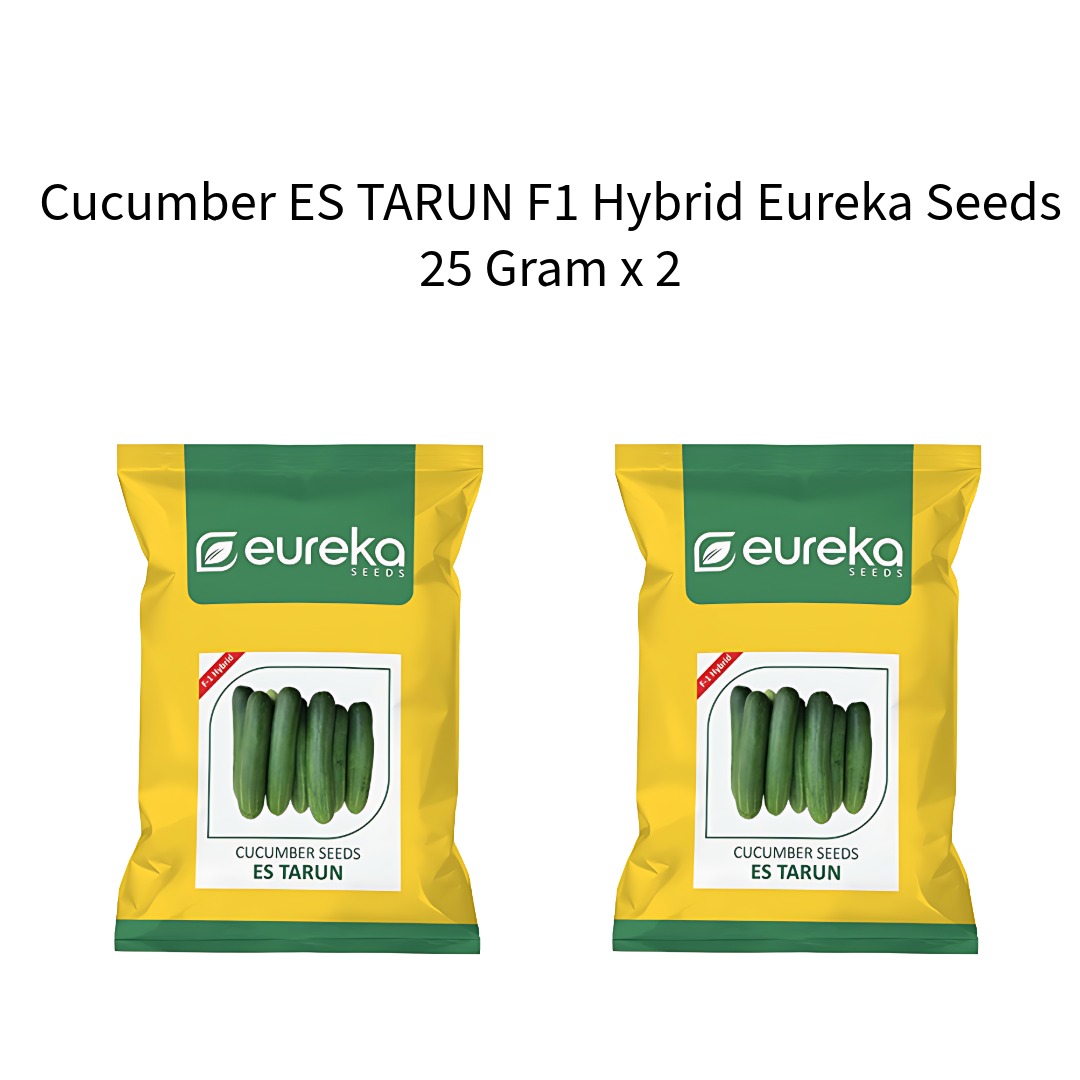 Cucumber-ES-TARUN-F1-Hybrid-Eureka-Seeds-25-Gram-x-2