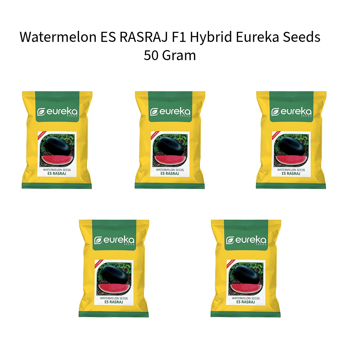 Watermelon-ES-RASRAJ-F1-Hybrid-Eureka-Seeds-50-Gram