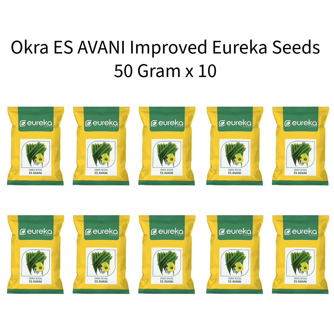 Okra-ES-AVANI-Improved-Eureka-Seeds-50-Gram-x-10