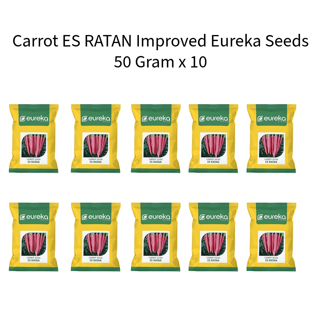 Carrot-ES-RATAN-Improved-Eureka-Seeds-50-Gram-x-10