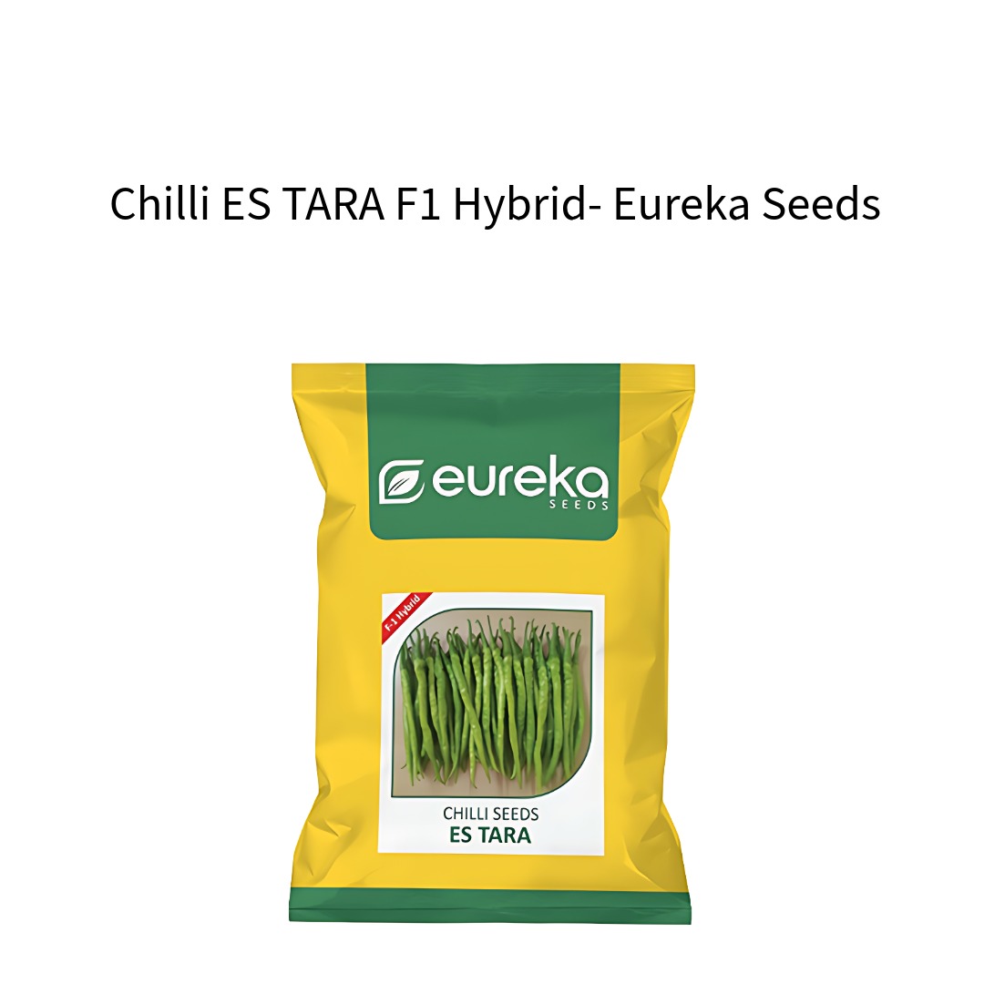 Chilli-ES-TARA-F1-Hybrid-Eureka-Seeds