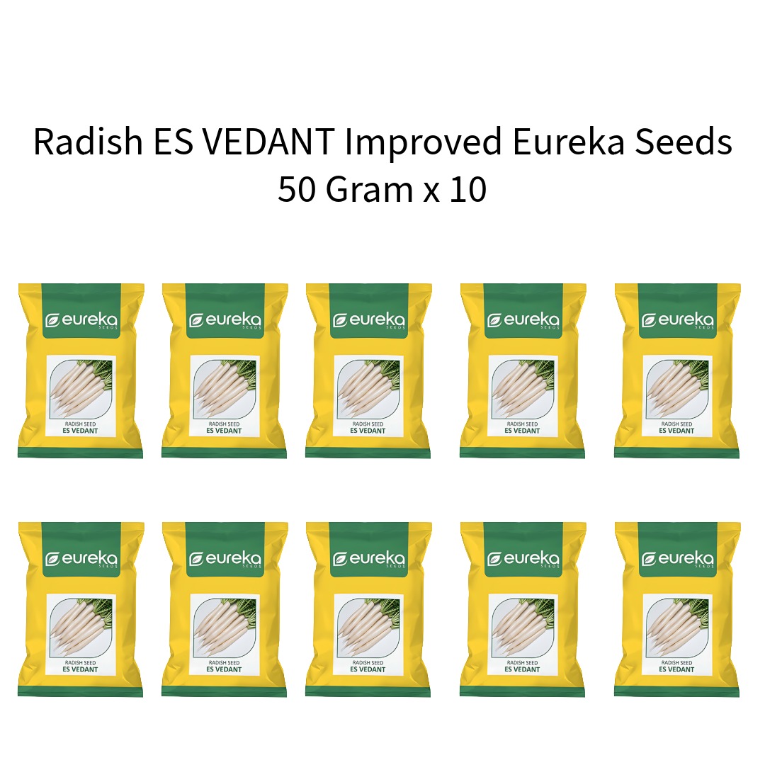 Radish-ES-VEDANT-Improved-Eureka-Seeds-50-Gram-x-10