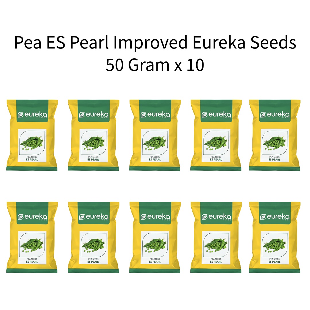 Pea-ES-Pearl-Improved-Eureka-Seeds-50-Gram-x-10
