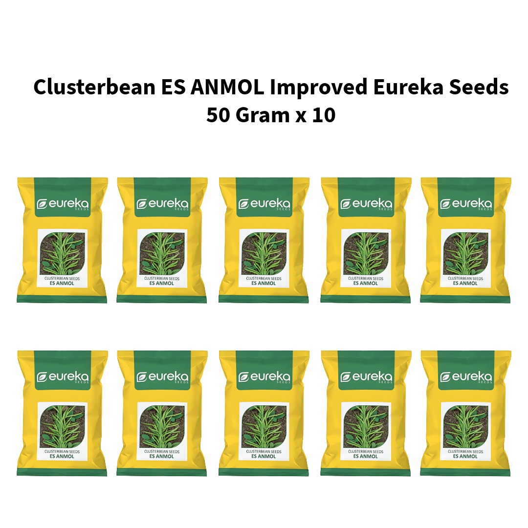 Clusterbean-ES-ANMOL-Improved-Eureka-Seeds-50-Gram-x-10
