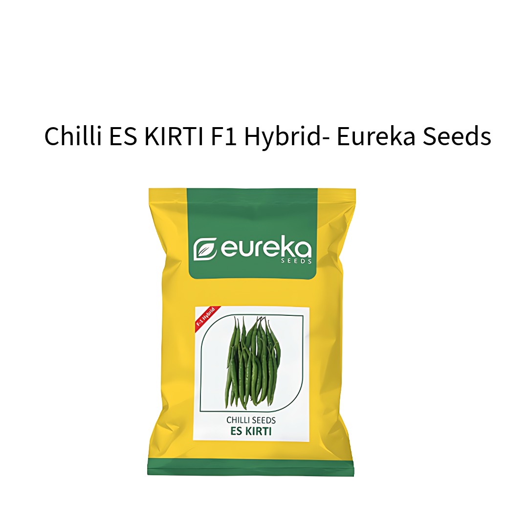 Chilli-ES-KIRTI-F1-Hybrid-Eureka-Seeds