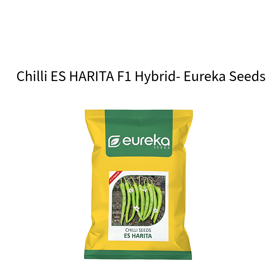 Chilli-ES-HARITA-F1-Hybrid-Eureka-Seeds