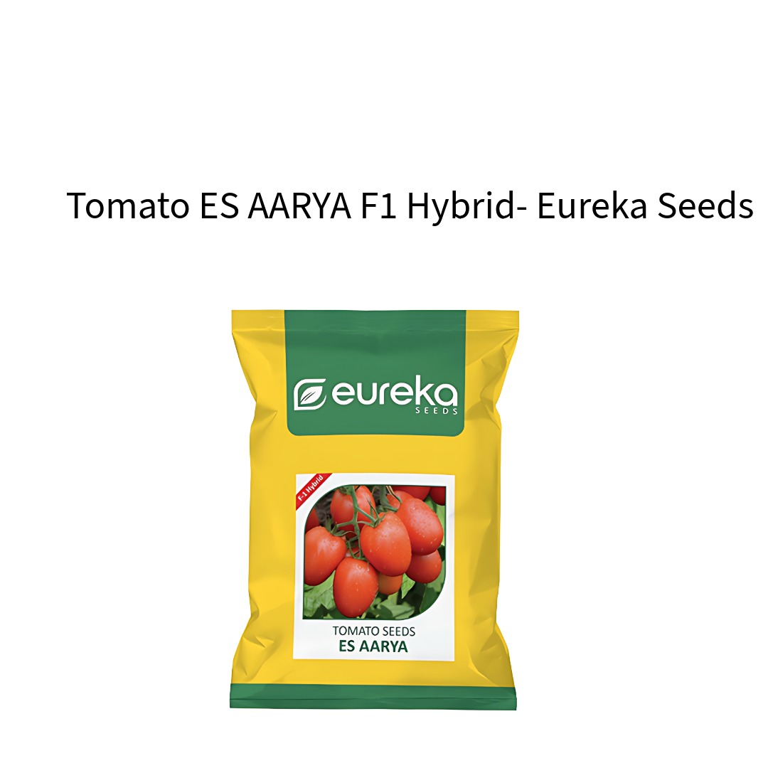 Tomato-ES-AARYA-F1-Hybrid-Eureka-Seeds