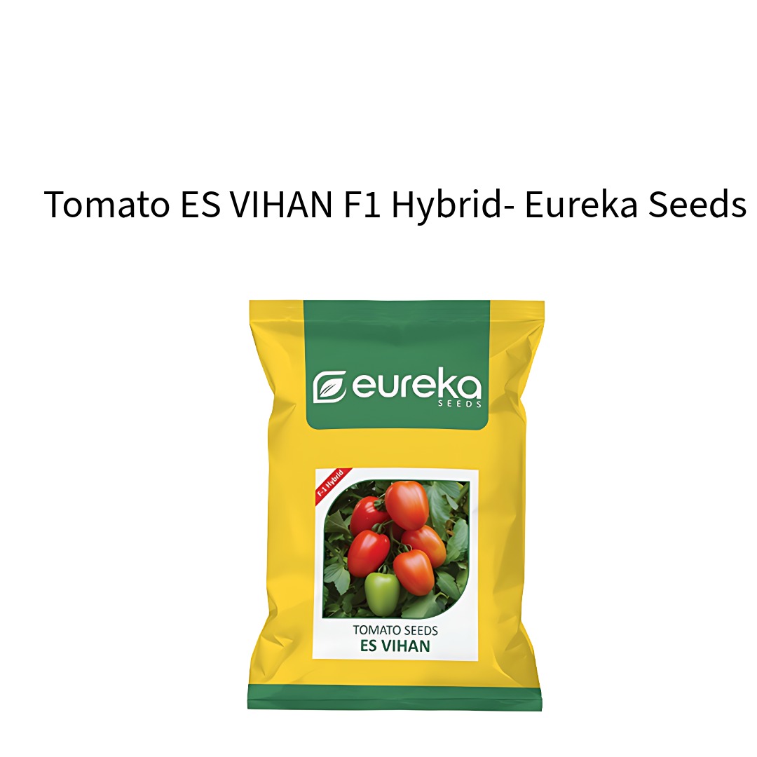 Tomato-ES-VIHAN-F1-Hybrid-Eureka-Seeds