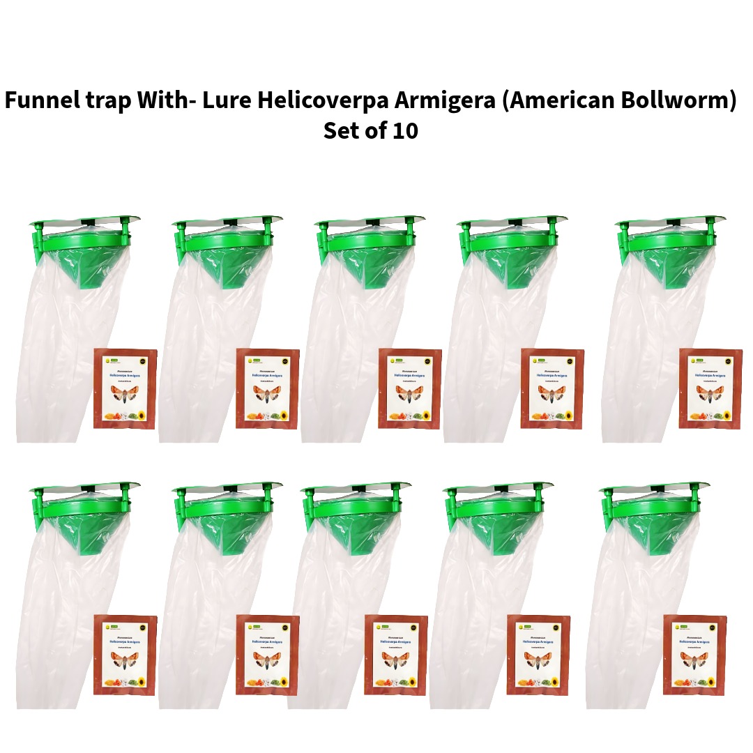 Funnel-trap-With-Lure-Helicoverpa-Armigera-American-Bollworm--Wavar-Set-of-10