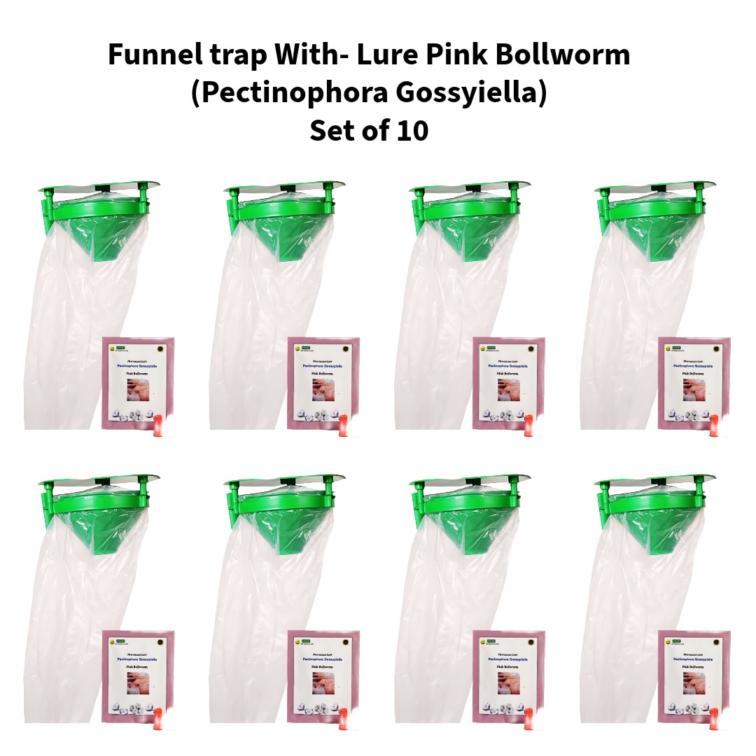 Funnel-trap-With-Lure-Pink-Bollworm-Pectinophora-Gossyiella--Wavar-Set-of-10