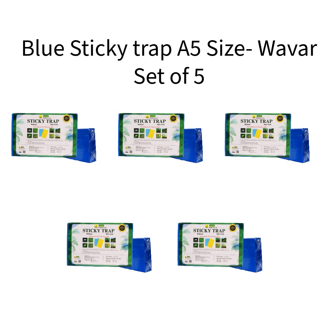 Blue-Sticky-trap-A5-Size-Wavar-Set-of-5