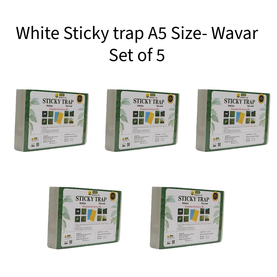 White-Sticky-trap-A5-Size-Wavar-Set-of-5