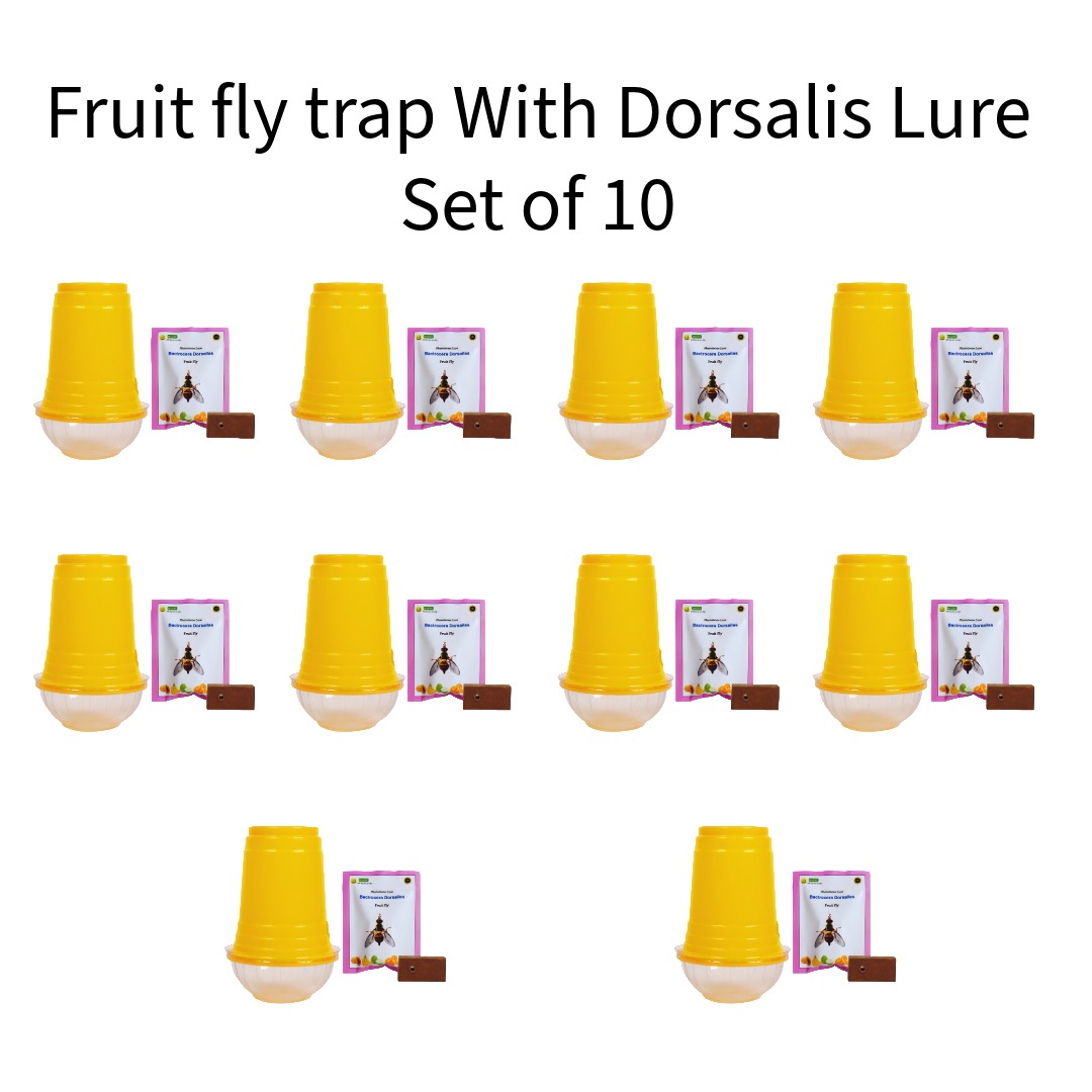 Fruit-fly-trap-With-Dorsalis-Lure-Wavar-Set-of-10