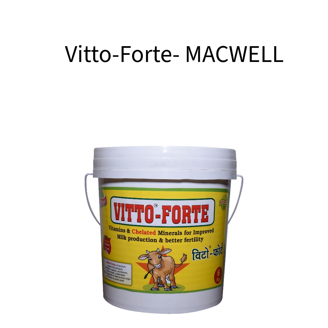 Vitto-Forte-MACWELL
