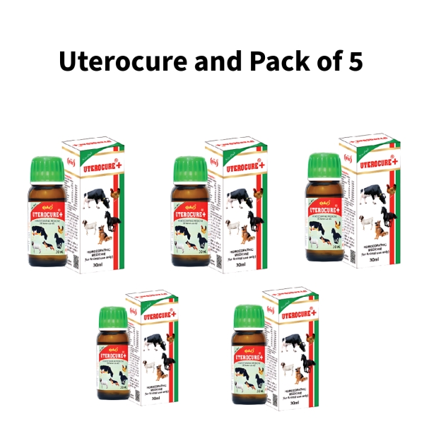 Uterocure-and-Pack-of-5