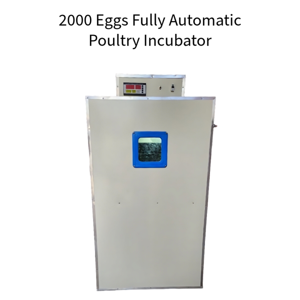 2000-Eggs-Fully-Automatic-Poultry-Incubator