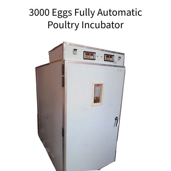 3000-Eggs-Fully-Automatic-Poultry-Incubator